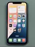 iPhone 12 ProMax Grey