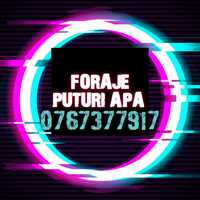 Foraje Puturi apa