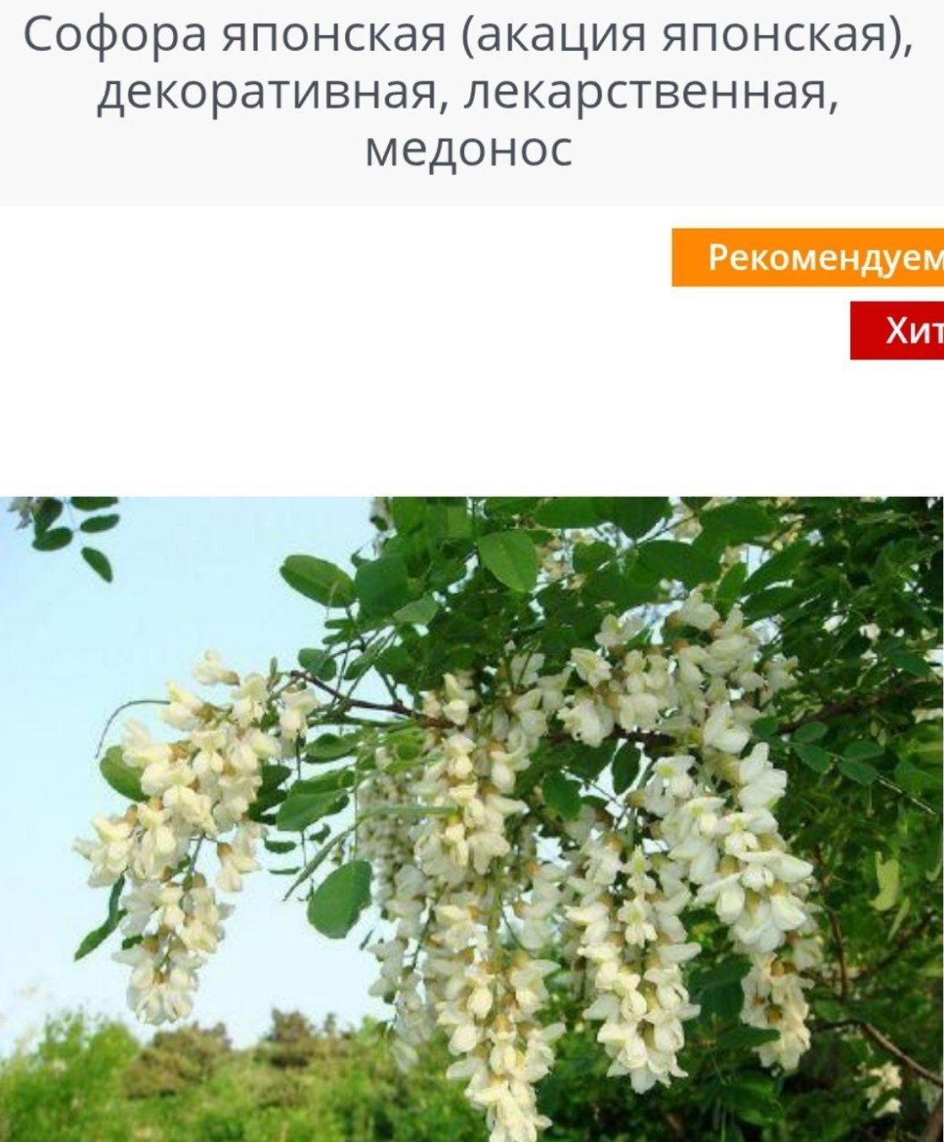 Искусственные деревья. Искусственные цветы. Suniy gullar
