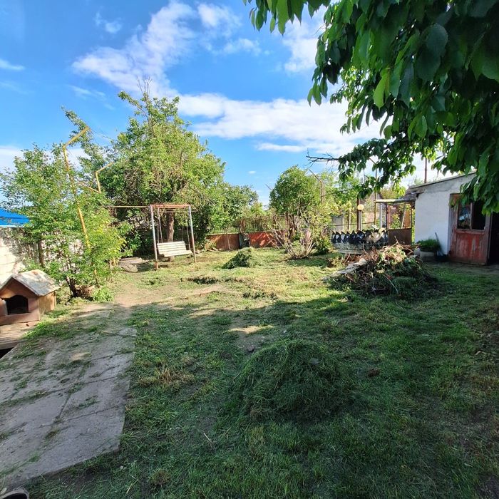 Casa 6 camere cu 4100 mp teren intravilan.