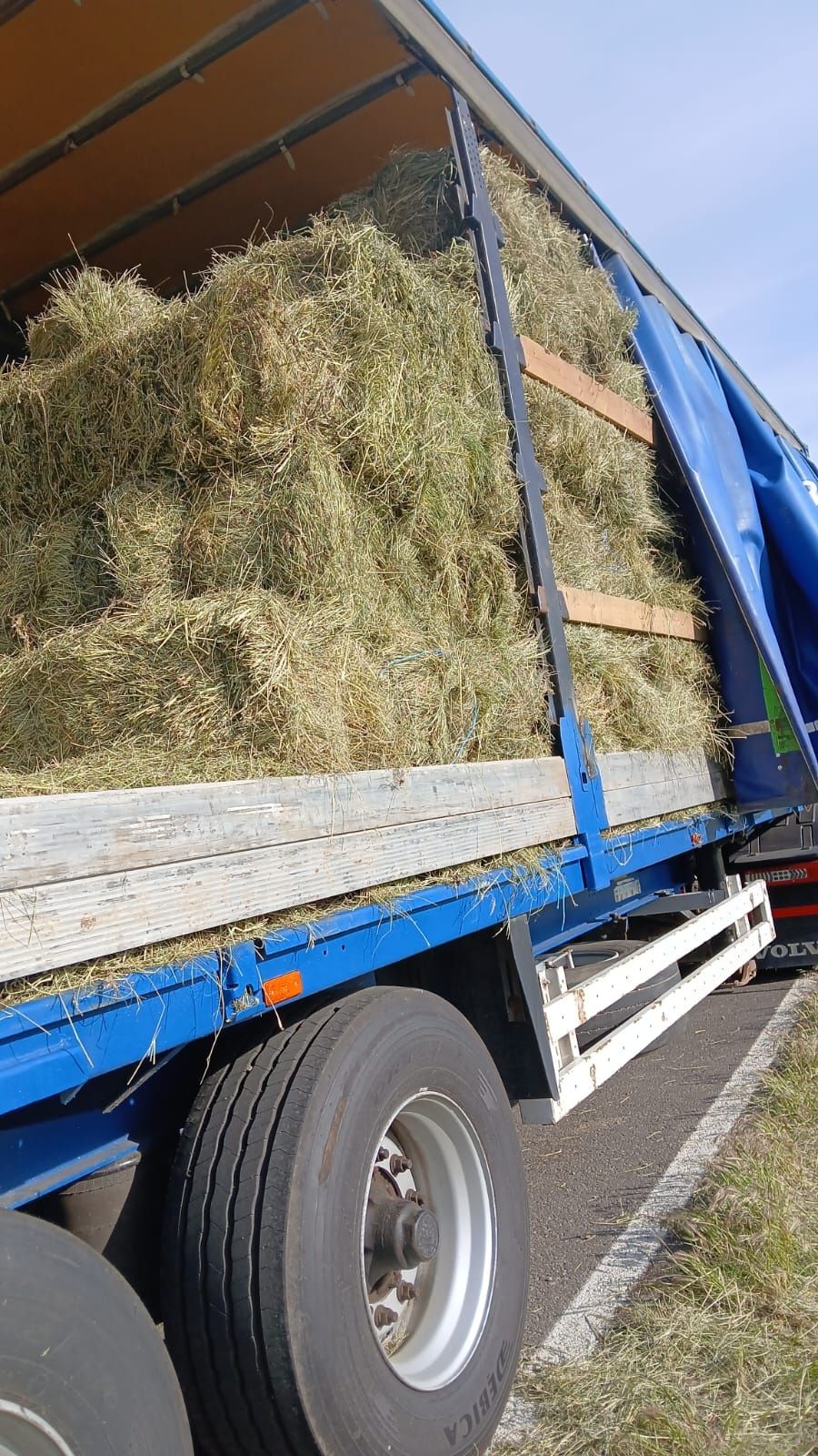 Lucerna sau Nutret semanat.Cate 500dr sau 40 Baloti rotunzi.La TIR>RO
