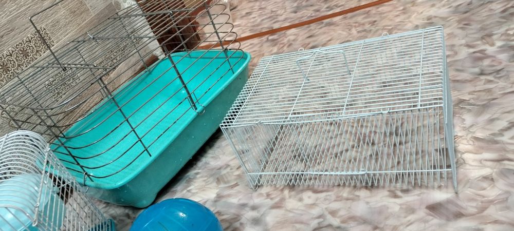 клетка для морской свинки