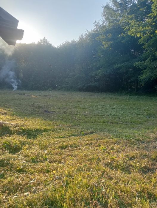 Cabana "AST" Liber de 1 Decembrie