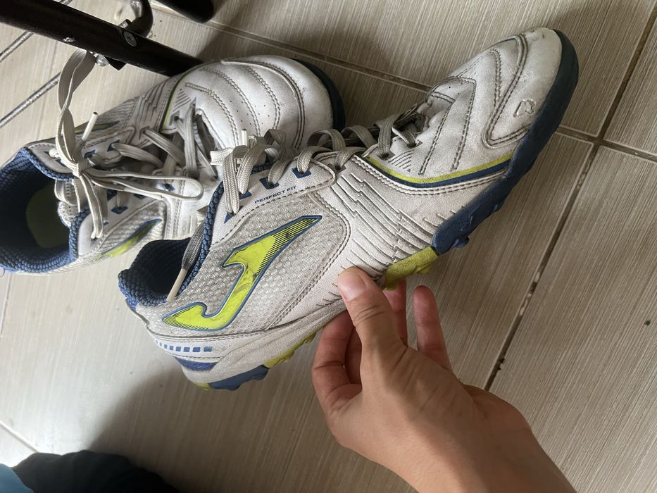 Сороконожка жаксы жагдайда