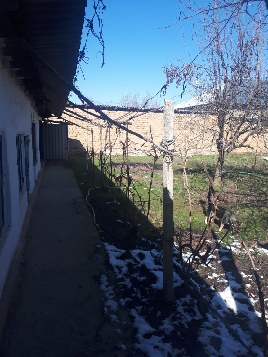 Продаётся дом в Сарыагаче