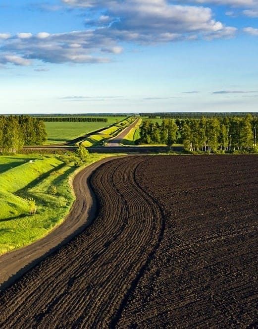 Чернозем и навоз