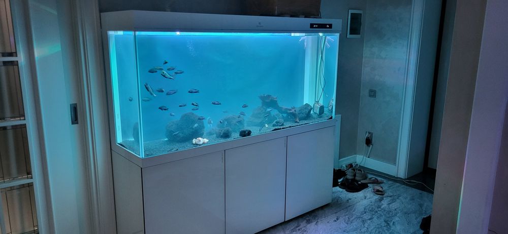 Aquacler ariginal sotiladi