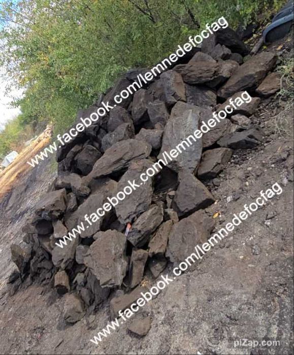 Lichidare de stoc , carbuni lignit si lemne de foc fag , crapate