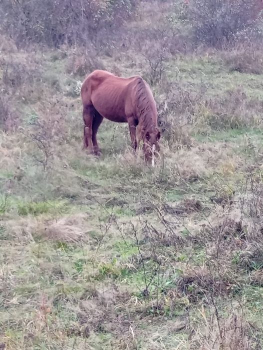 Iapa garantata de caruta si alte munci in gospodarie