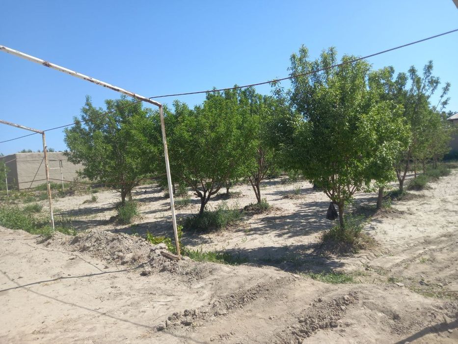 Уй сотилади 24 соток