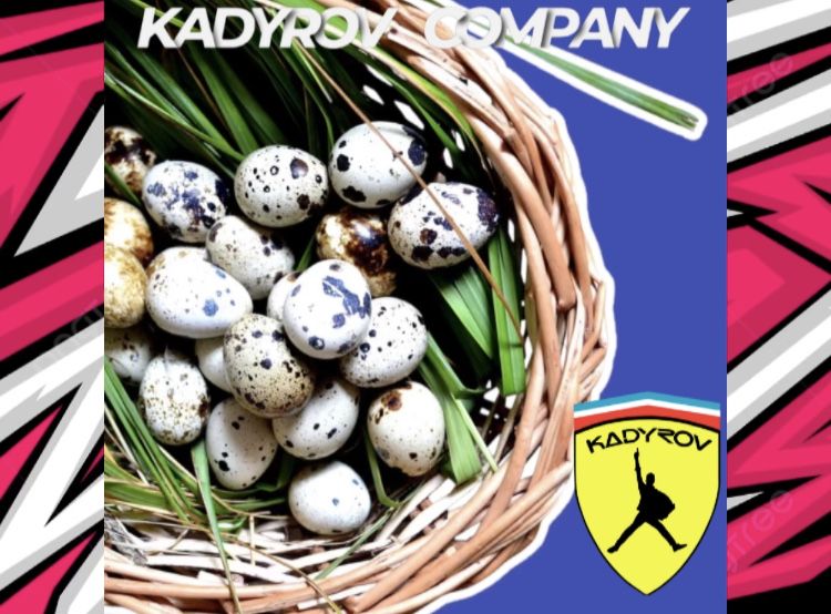 Купите оптом перепелиные яйца — источник белка и витаминов!