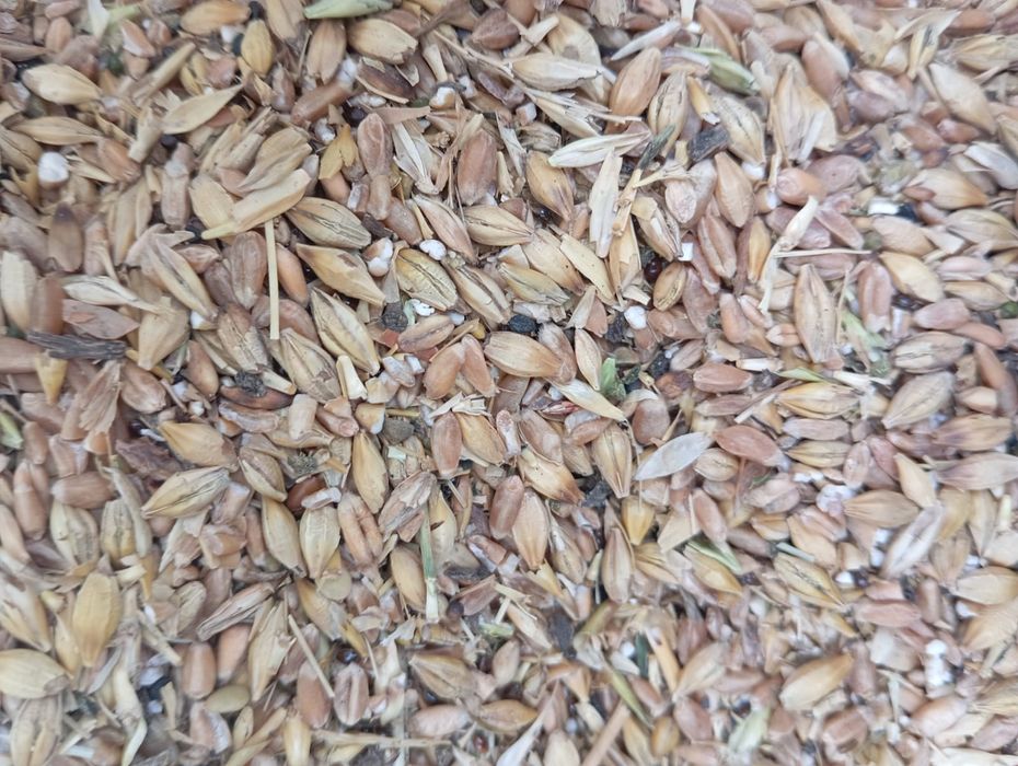 Продам зерноотходы