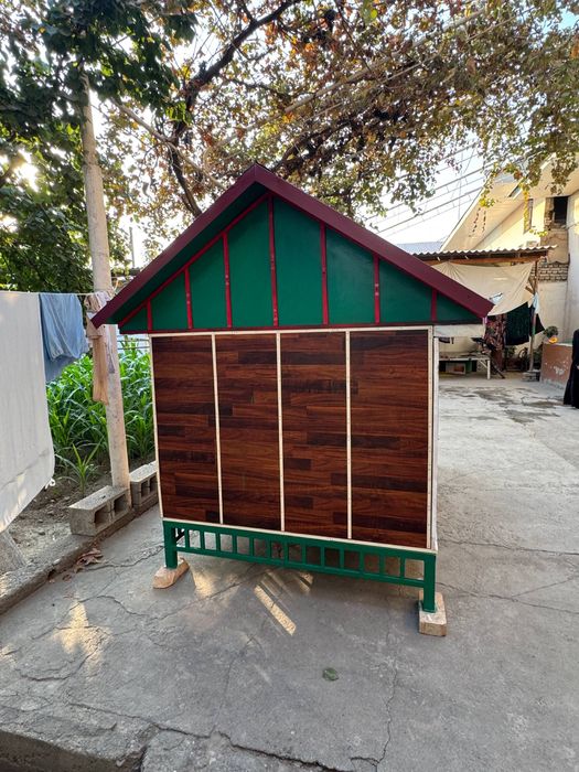 Katak sotiladi 500$ kami bor