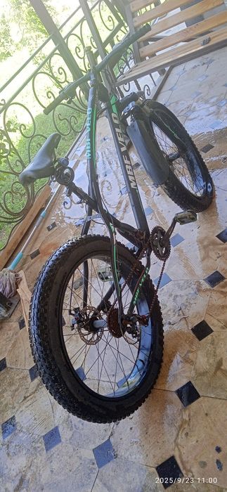 Velodiped Sotiladi sportivni