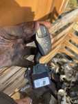 Лосче за мегач Bmw бмв е60 530д м57 e61 530d m57 231кс 235кс