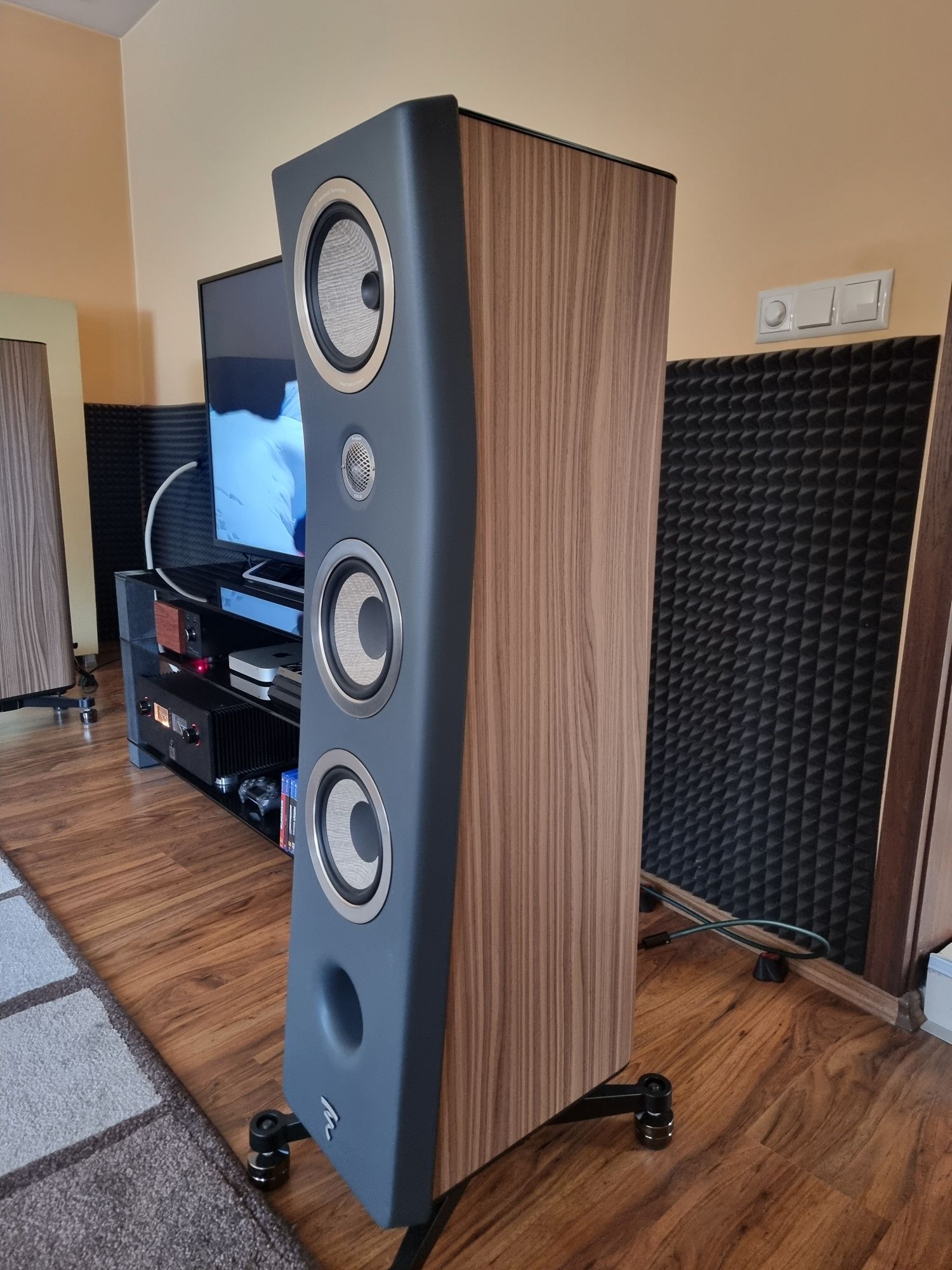 Focal Kanta 2  тонколони