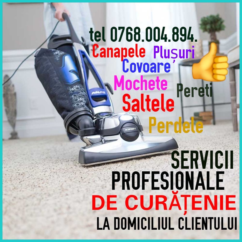 Ofer servicii profesionle de curatare, curatenie la domiciliul clientu