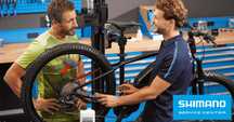 Eliminare limita biciclete electrice cu motor Shimano, alte servicii