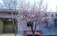 Toshkent shahar,  Olmazor t.  Yuqori Beshqoʼrgʼonda xovli. 6 sotix