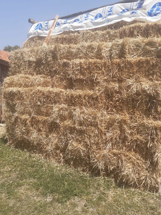 Vând baloți de paie