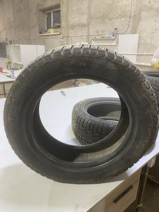 Шипы зимние кардинат