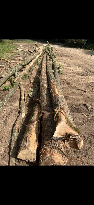 Vând lemne de foc uscate sau verzi !!