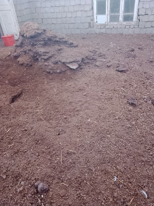 Нури (пори) молники текин