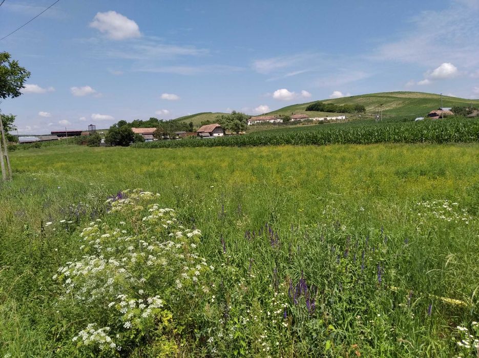 Intravilan Exceptional 6.600  MP - limitrof Jud. Cluj, Dupa Camarasu