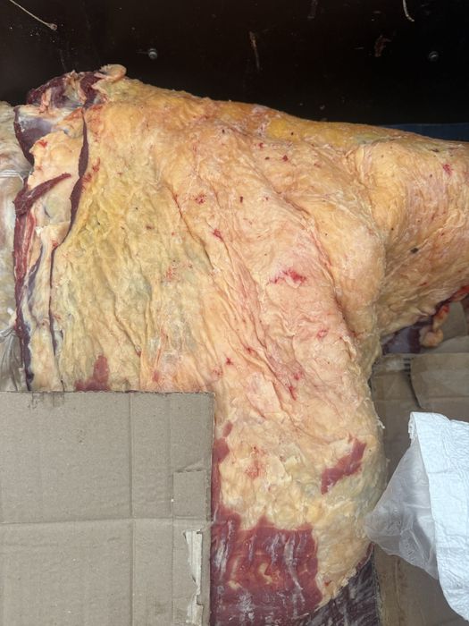 говядина кашар ети 2900 тг кг