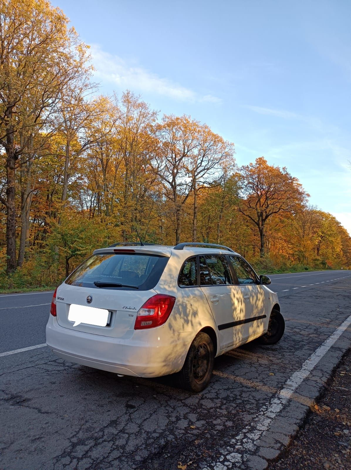 Skoda Fabia 2014