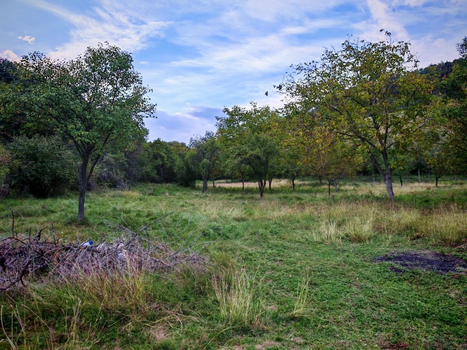 Teren de vânzare Vurpar