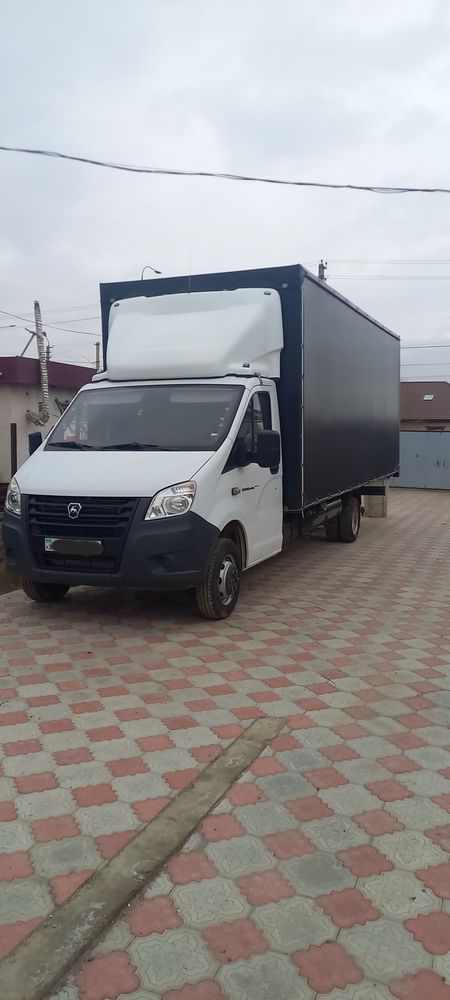 газель нехт газель