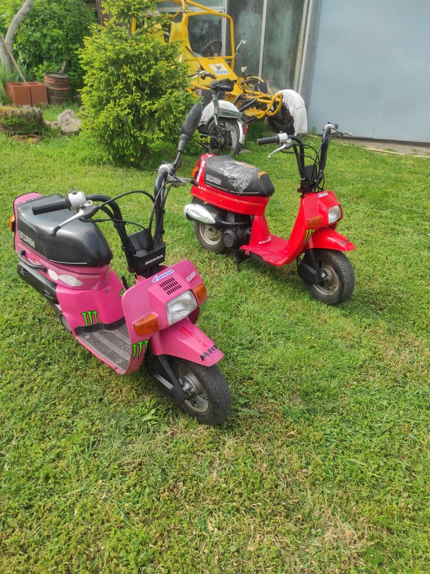 Honda Squash 50cc 2 бр.