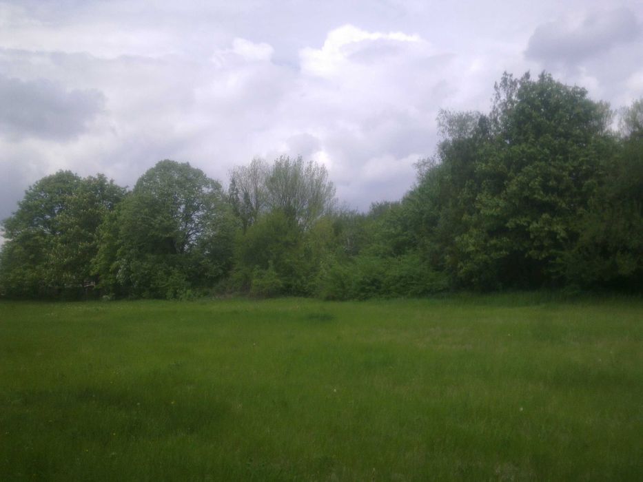 Продава се Парцел в Добрич, Добротица - Варненска - 11000 кв.м за 6 €/кв.м - Снимка #7