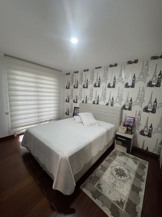 Vila Spatioasa 4 camere Cosmopolis