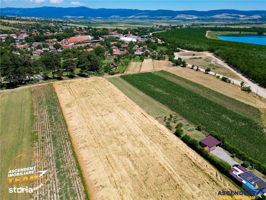 FILM! Teren extravilan, Valea Crisului, Covasna