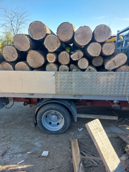 Lemne de foc ster si cer