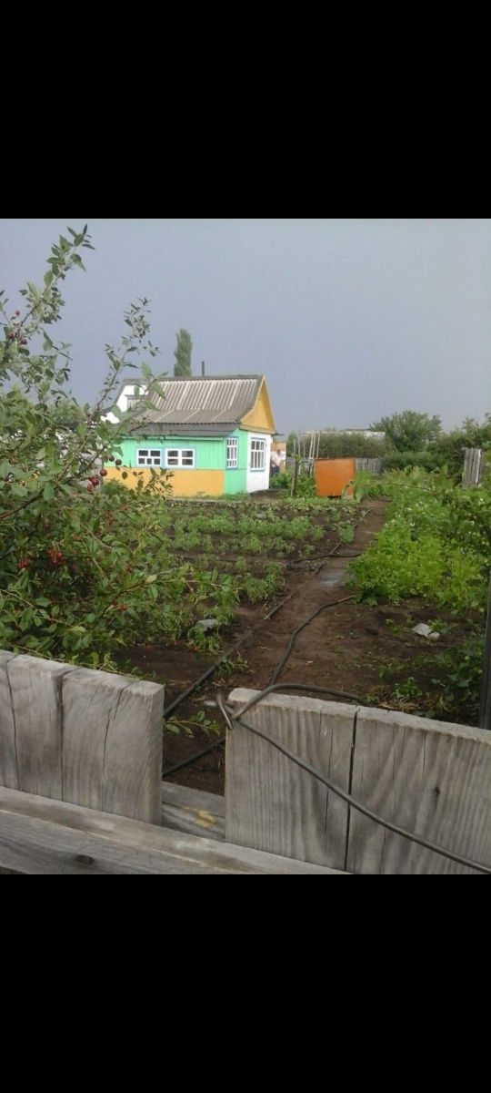 Дача сад нефтяник
