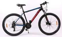 Bicicleta 29 inch