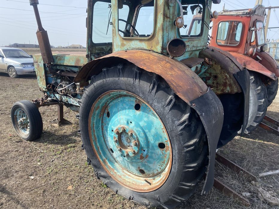 обмен койга жылкыга болады