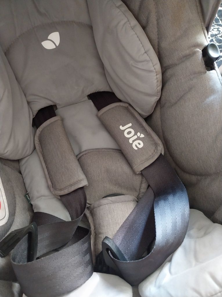 Scoica Auto Bebe JOIE