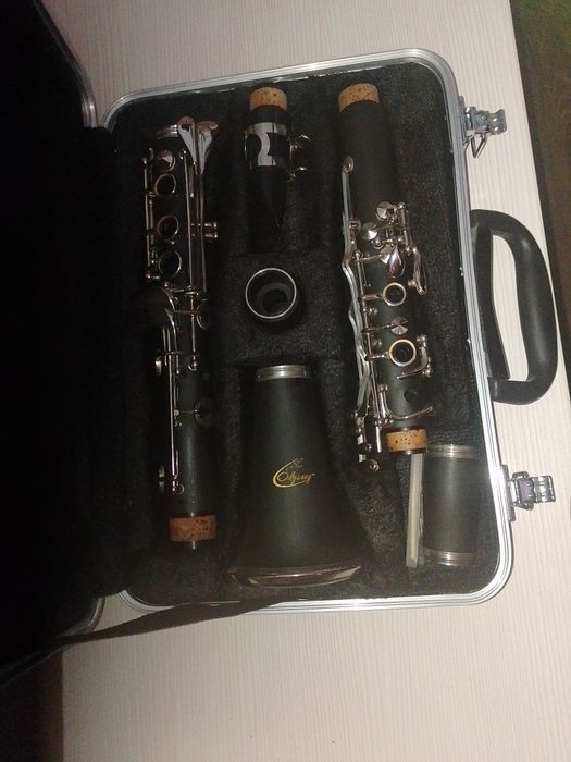 Clarinet odyssey