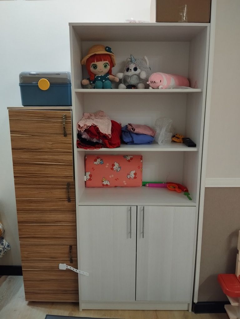Шкаф для книг, игрушек и прочих вещей Астана