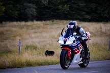 Honda CBR 600RR / nu necesită investitii