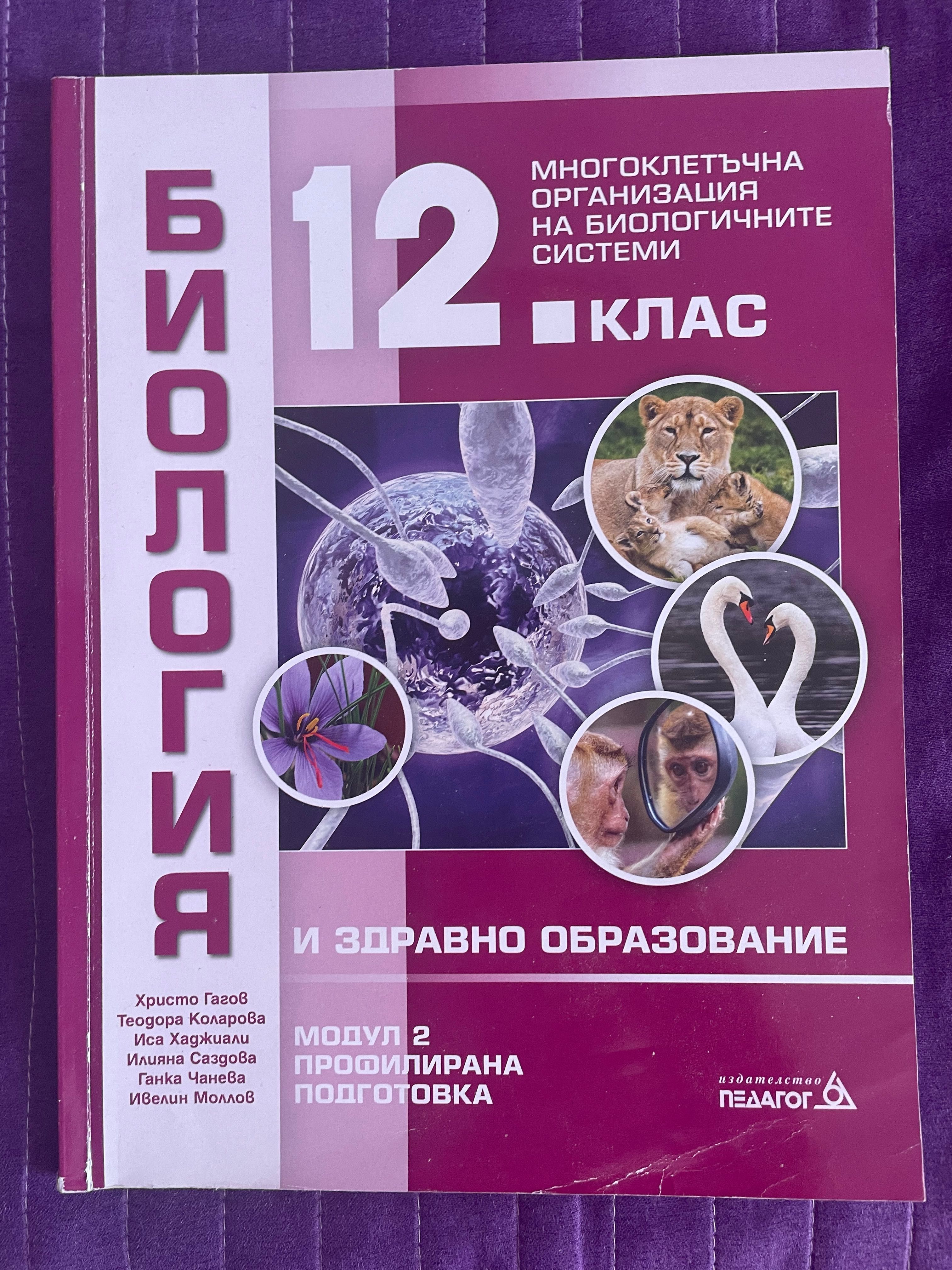 Учебници и тетрадки за 11 и 12 клас
