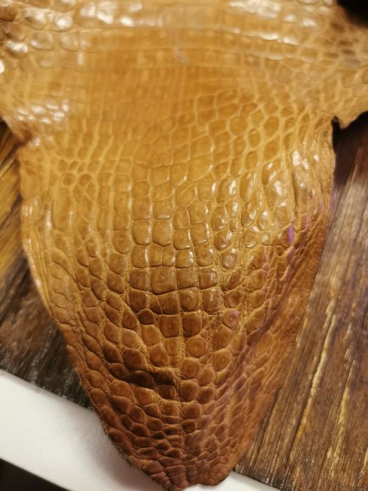 Обработена кожа 145 см.