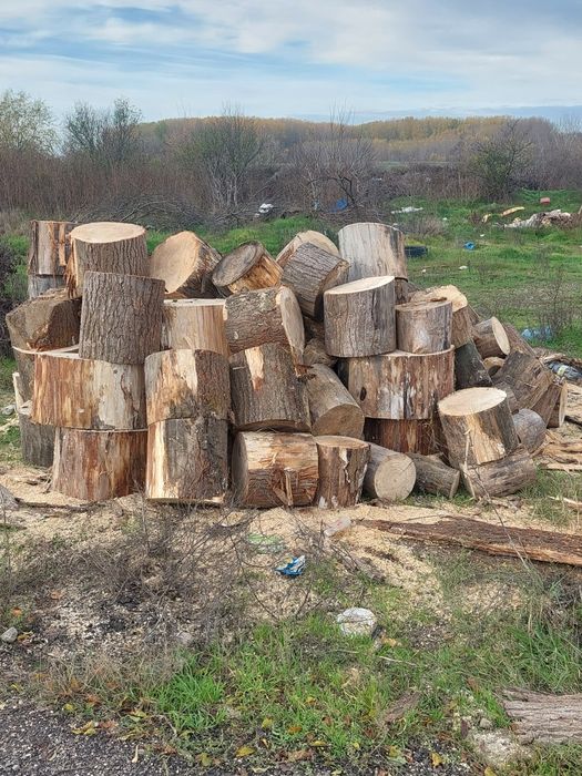 Vind lemne amestecate plop și corcodușe are în jur de 4 tone tote