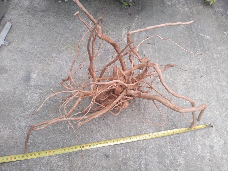 Lemne red moor acvariu(decor)