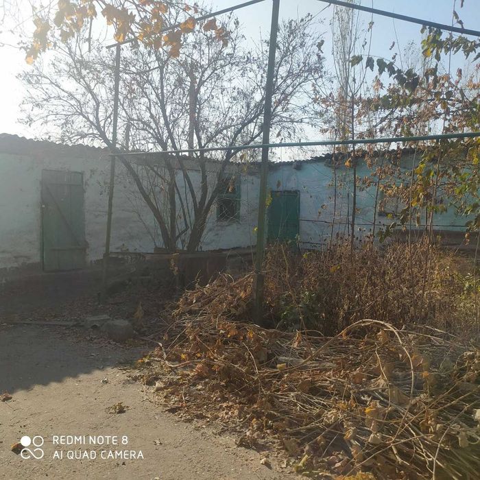 Бузиб олиш учун уй