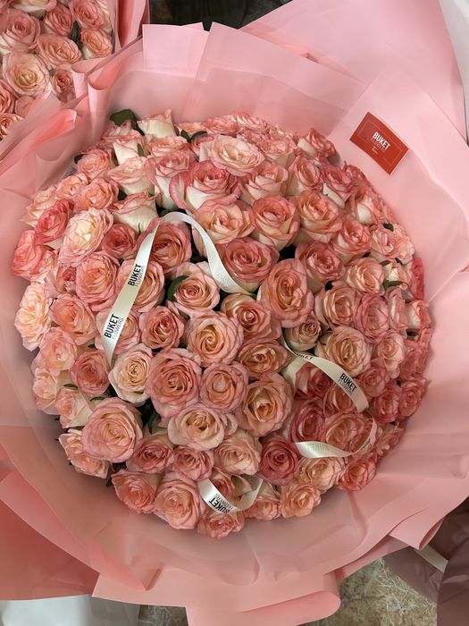 101 роза в розовом цвете